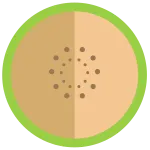 Cantaloupe SVG Icon